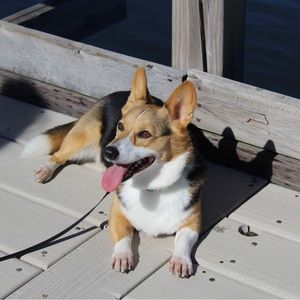 Meet your Posher, Sherry